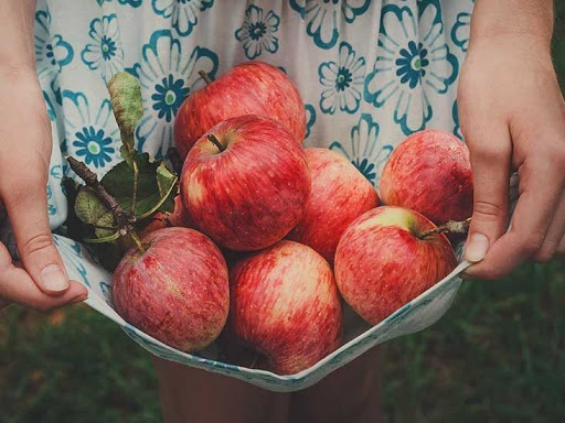 Apples